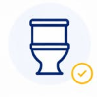Toilet Repairs